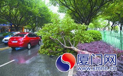 湖滨北路