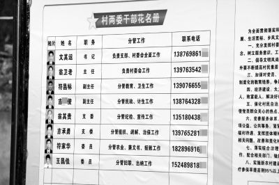 村干部名单