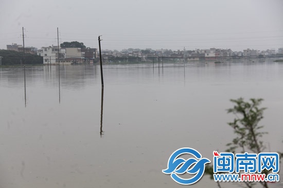 诏安洪水退去 道路基本恢复