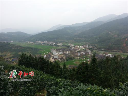 绳武楼的“孪生姐妹”