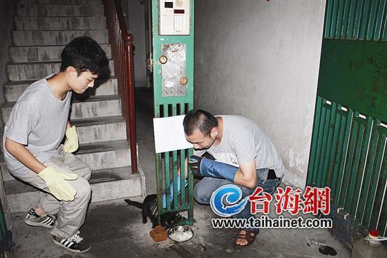 用什么拯救你