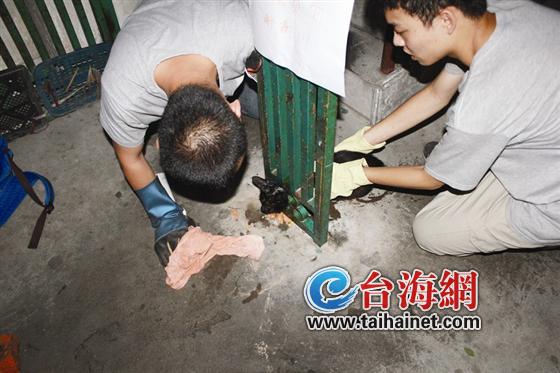 用什么拯救你1