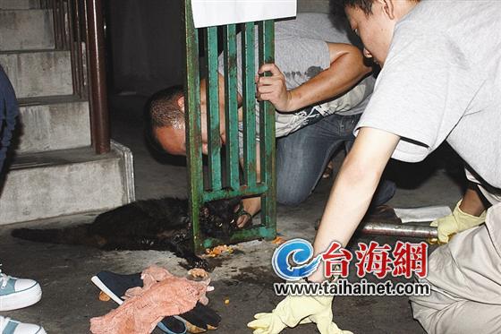 用什么拯救你2