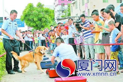 缉毒犬 “天翼”寻找藏毒箱子