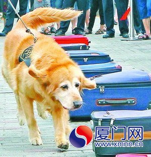 天翼