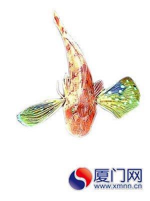 绿鳍鱼
