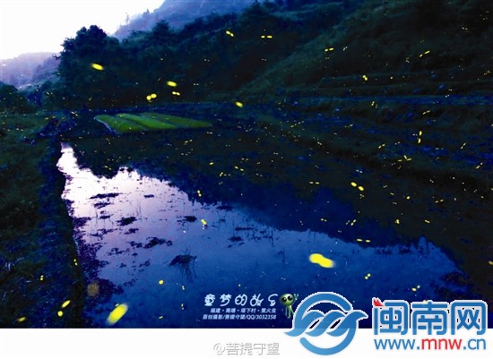 萤火耀夜舞塔下