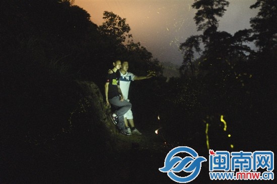萤火耀夜舞塔下 1