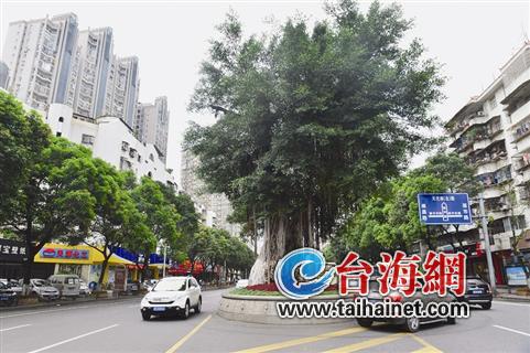 期待更多的“美丽碰撞”