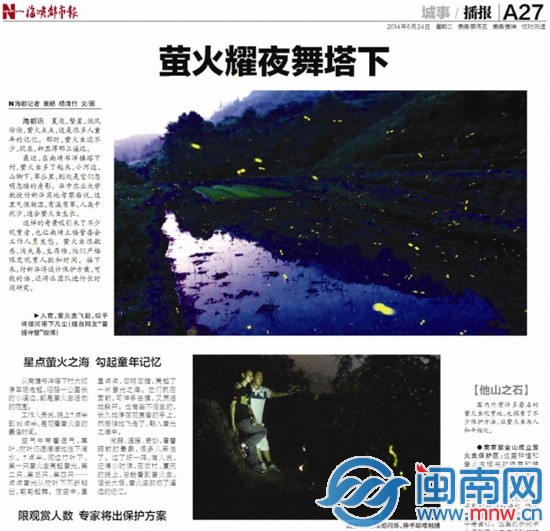 怕萤火虫被扰 18天后才发图1
