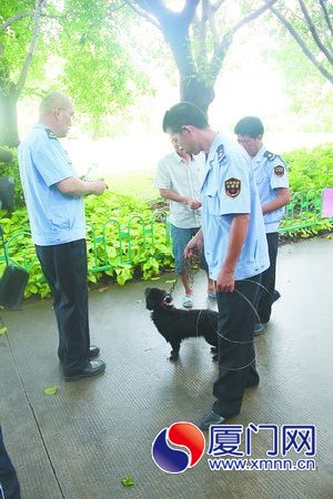没办证的黑狗被执法人员收容