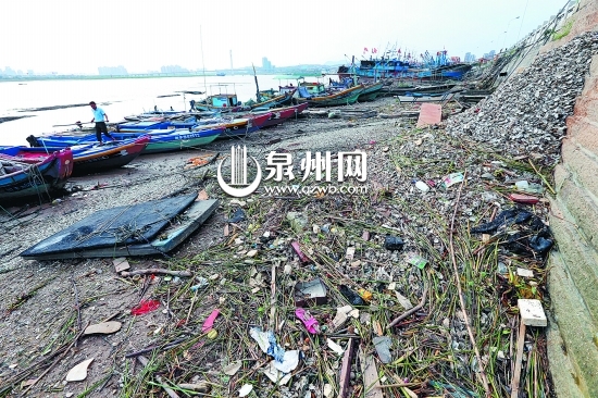 岸边堆满海蛎壳和生活垃圾,明显久未清理