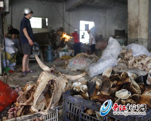 非法窝点