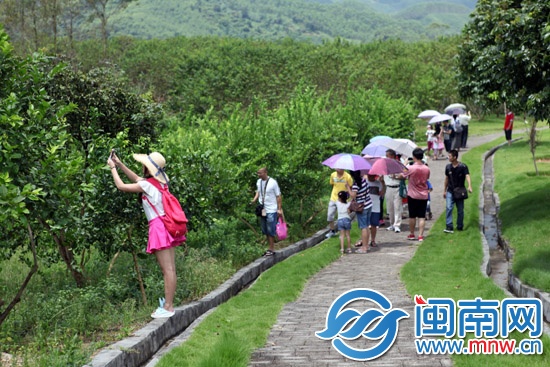 海都小记者夏令营报名火热3