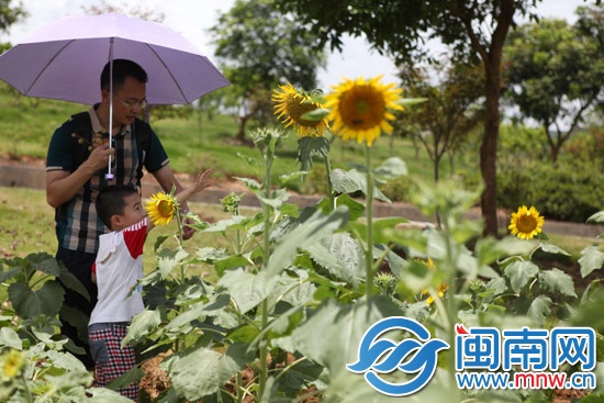 海都小记者夏令营报名火热