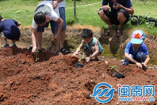 海都小记者夏令营报名火热2