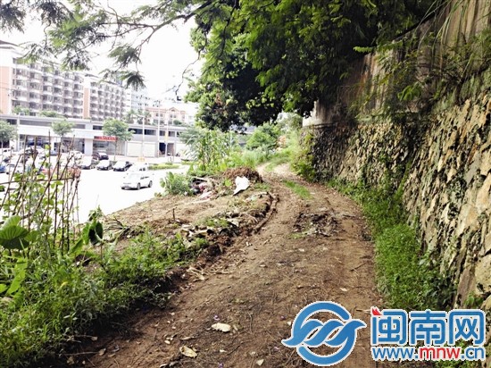 网友狂吐槽：小车也上墙？ 1