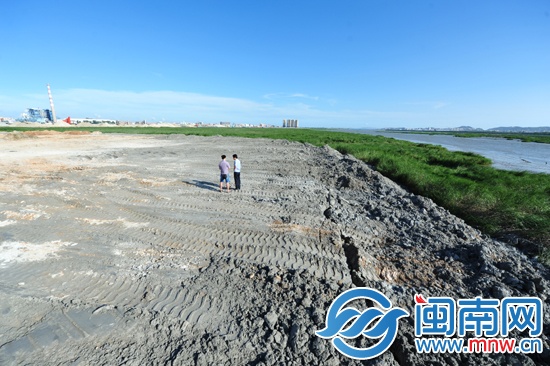 石粉浆倒在空地外缘，靠近大盈溪入海口的滩涂