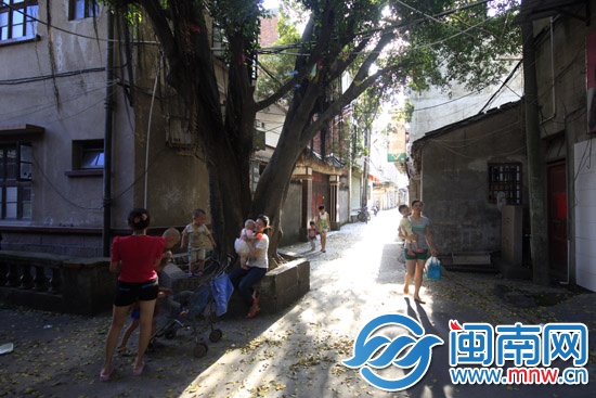 凉席开工前 记得先除螨