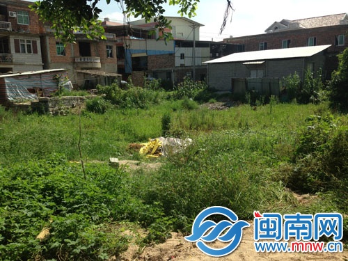 社区一个废弃池塘，成了垃圾堆放的卫生死角