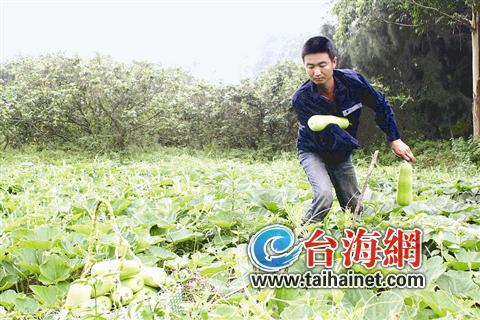 一只手 也能撑起一片天