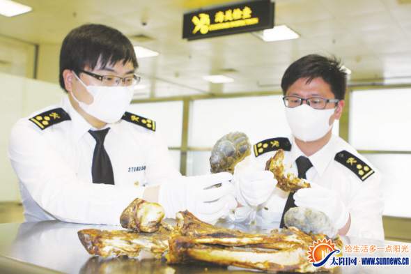 厦门高崎机场海关首次查获美洲豹皮骨