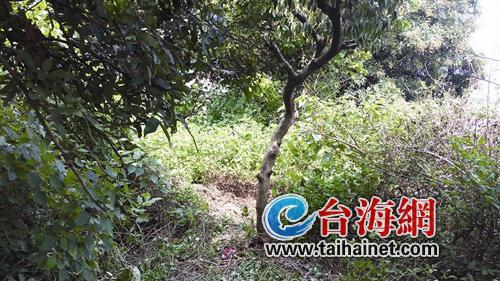 一锄下去 竟是一具腐尸