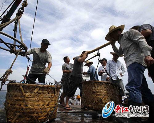 深沪近海开渔第一网