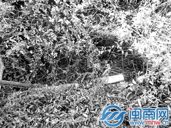 黄某的加工厂偷排污水的管道