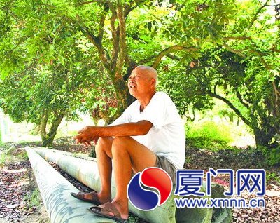 蚊虫孳生村民苦不堪言