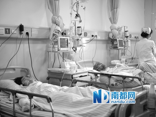 部分伤者在浙江大学医学院附属第二医院接受治疗