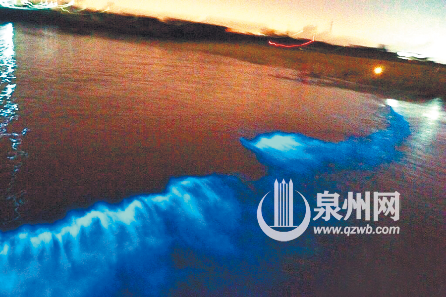 网友在石狮永宁海滩拍摄的蓝眼泪
