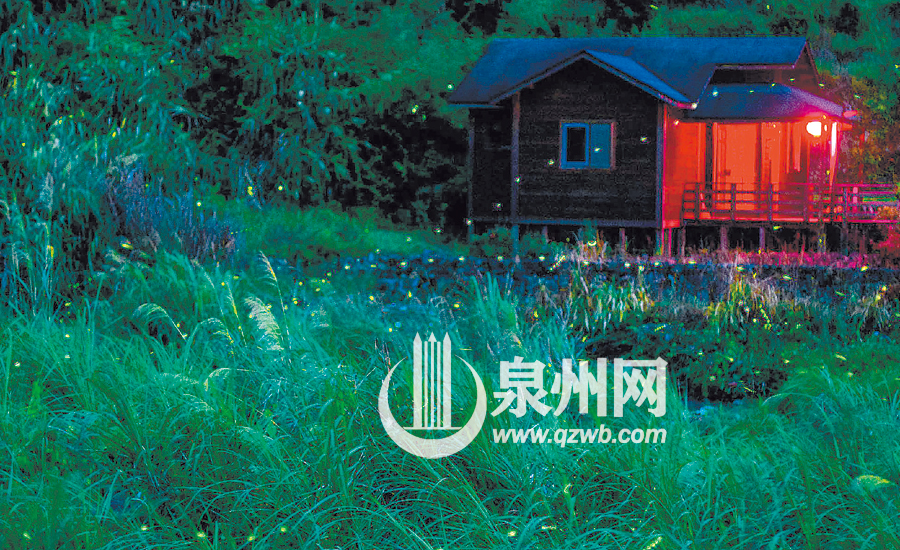 漳州南靖塔下村的萤火虫公园