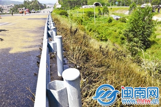 硫酸泄漏烧出“枯草带”