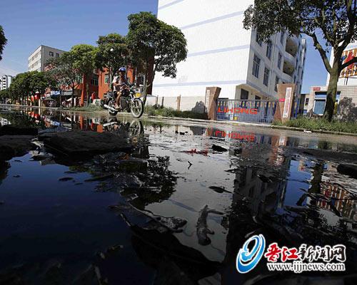 安平开发区聚贤路污水横流4个月，旁边商铺、工厂均 