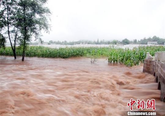 肆掠的洪水淹没了岳池农田