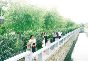 东山建立330多个村民纳凉点