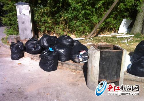 华泰小区垃圾横行1