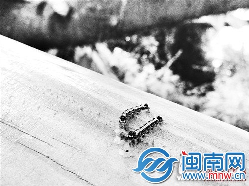 毛毛虫爬在栈道护栏上