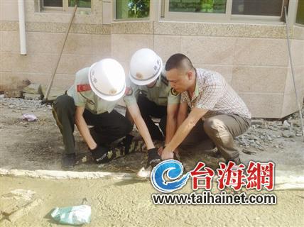 鳄鱼“私闯”民居 吓坏村民1