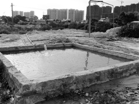 瓜果园角落变“停车场”