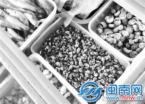 福州营迹路一家莆田餐馆仍能吃到麦螺
