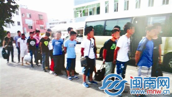这14人，得知草莓音乐节的消息，在网上约好来厦盗窃