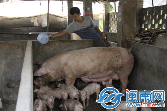 卖废品攒1600元 她想捐出助学