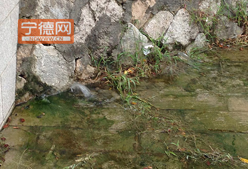 福安浅水湾公园一角污水横流 半个多月无人问津1