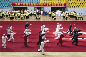 四国武术太极拳手狮城展技艺