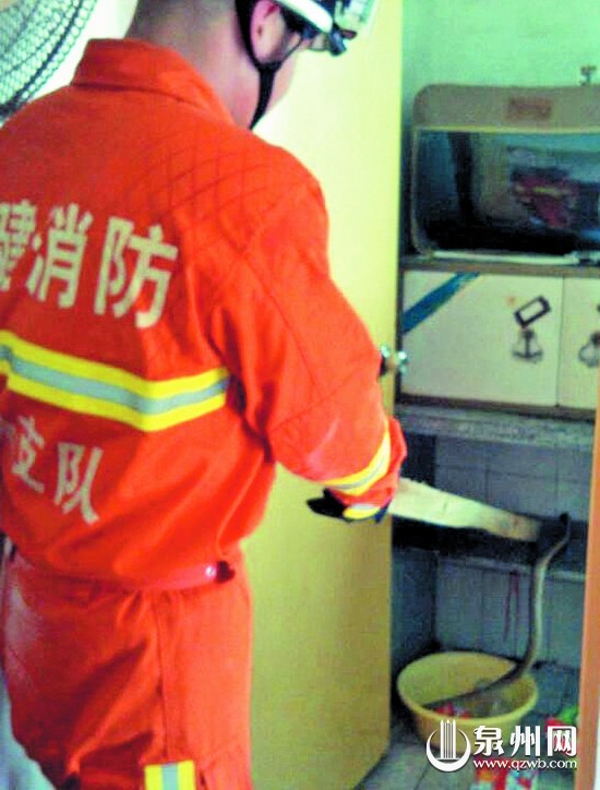 消防员抓蛇