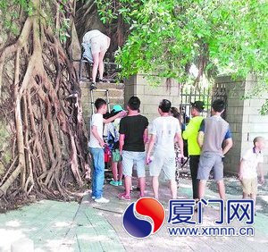 小贩带游客从偏僻处爬梯进厦大