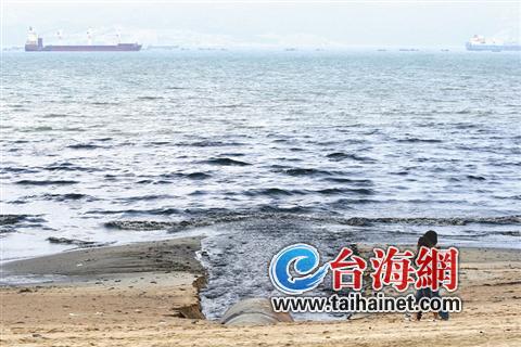 厦门岛大大小小接入海中的雨水口将实现晴天污水截流