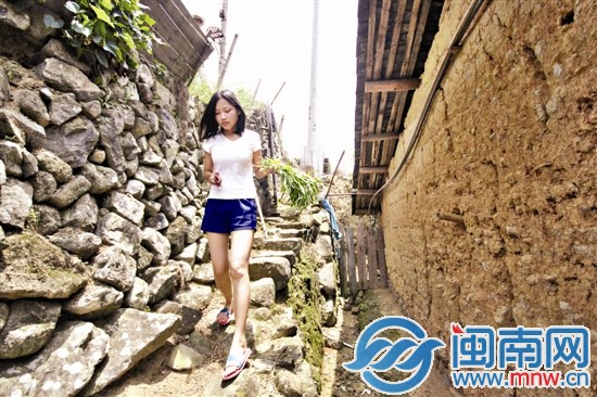 华安茶山走出一对姐妹花1